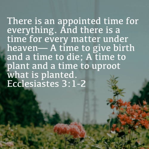 There is an appointed time for everything. And there is a time for every matter under heaven - A time to give birth and a time to die; A time to plant and a time to uproot what is planted. Ecclesiastes 3:1-2