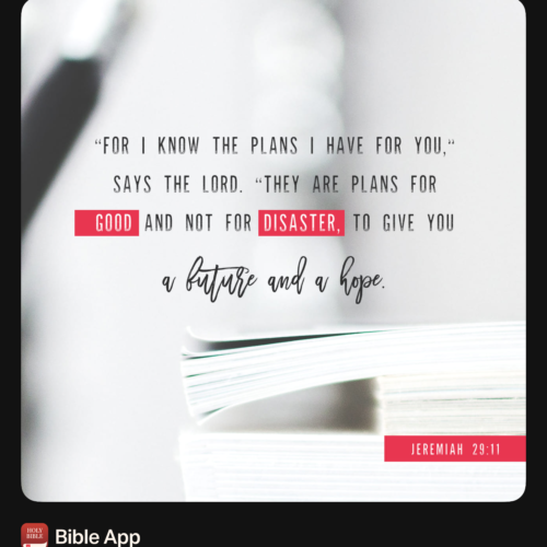 "For I know the plans I have for you," says the Lord. "They are plans for good and not for disaster, to give you a future and a hope." Jeremiah 29:11